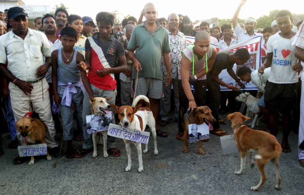 मोर्चाद्वारा भारदहमा कुकुर जुलुश प्रदर्शन