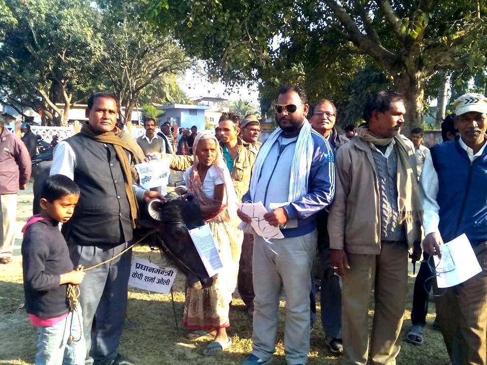 मधेशी मोर्चा सप्तरीले भैंसीलाई बुझाए ज्ञापन–पत्र