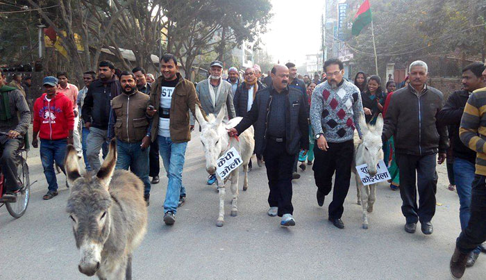 बिराटनगरमा गधा जुलुस प्रदर्शन
