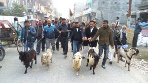 विराटनगरमा बोकासहितको जुलुस