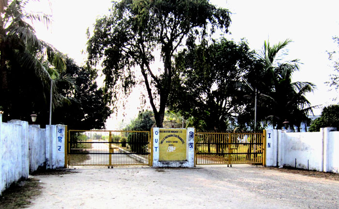 भाषण धेरै भो, सञ्चालन गर औद्योगिक क्षेत्र