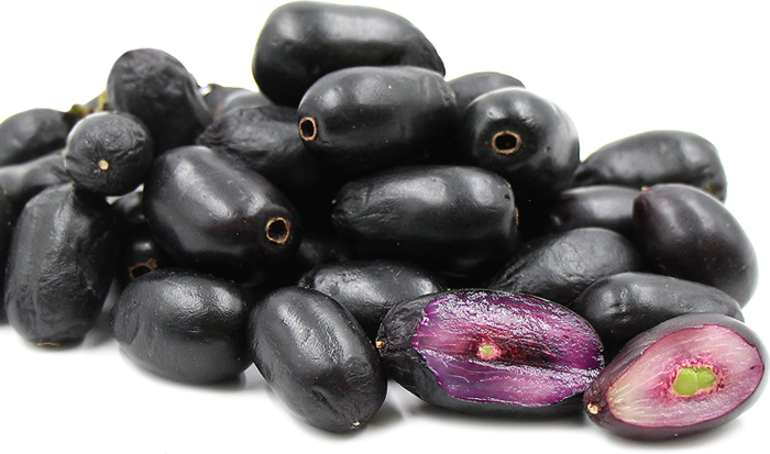 जामुन फलमा औषधीय गुणको भण्डार