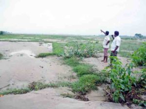 तेरहौताको हजारौ बिघा खेती योग्य जग्गा डुबानमा