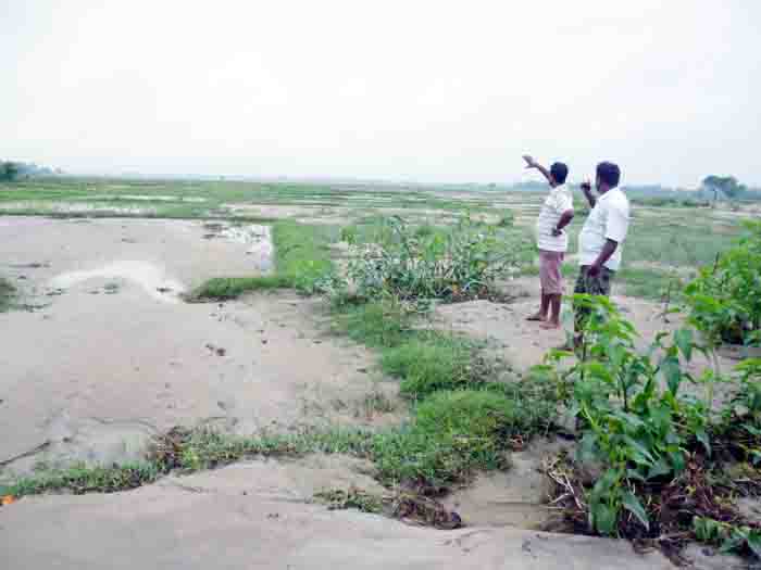तेरहौताको हजारौ बिघा खेती योग्य जग्गा डुबानमा
