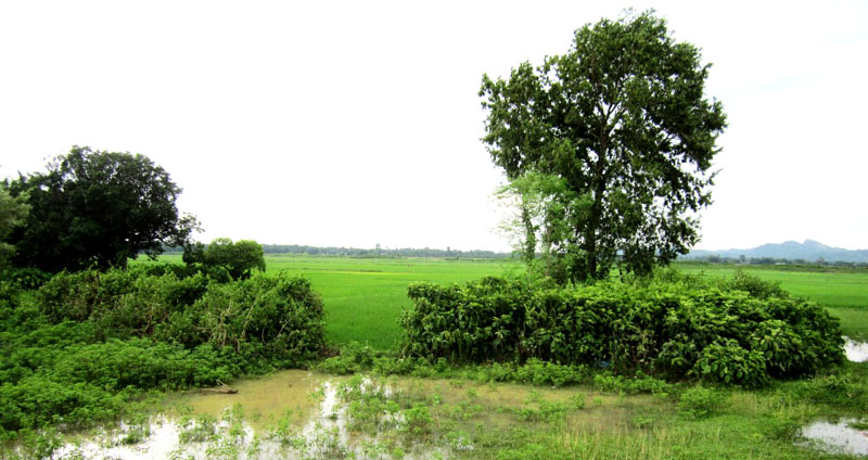 खेतीयोग्य जग्गा मासेर अर्बौ खर्चिने योजनाको व्यापक विरोध