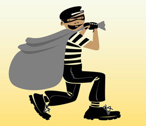 ग्रामिण भेगमा चोरी बढ्यो