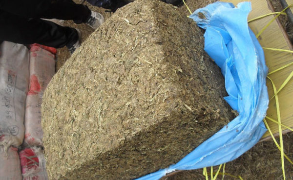 ठूलो परिमाणमा गाँजा बरामद