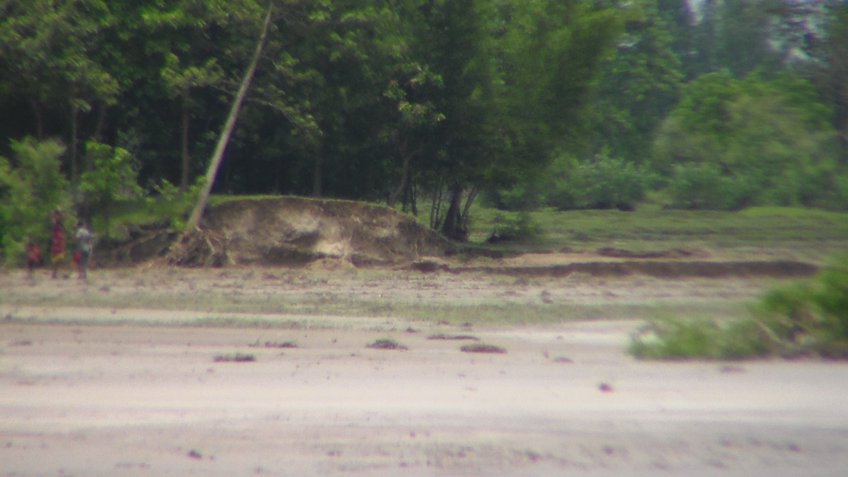 सप्तरीमा अझैं डुबानको खतराः डुबान र कटानको कारक सरकारी लापर्वाही