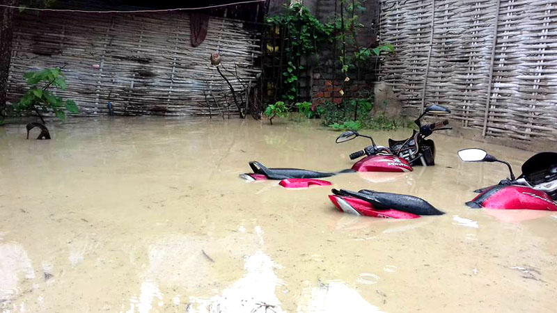 बाढीले सप्तरीको एक हजार पाँच सय घर डुबानमा, फेला पर्यो एक पुरुषको शव