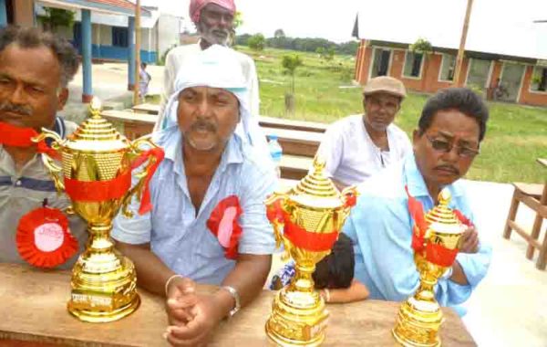 तेरहौतामा प्रथम पचशिल्ड क्रिकेट प्रतियोगिता
