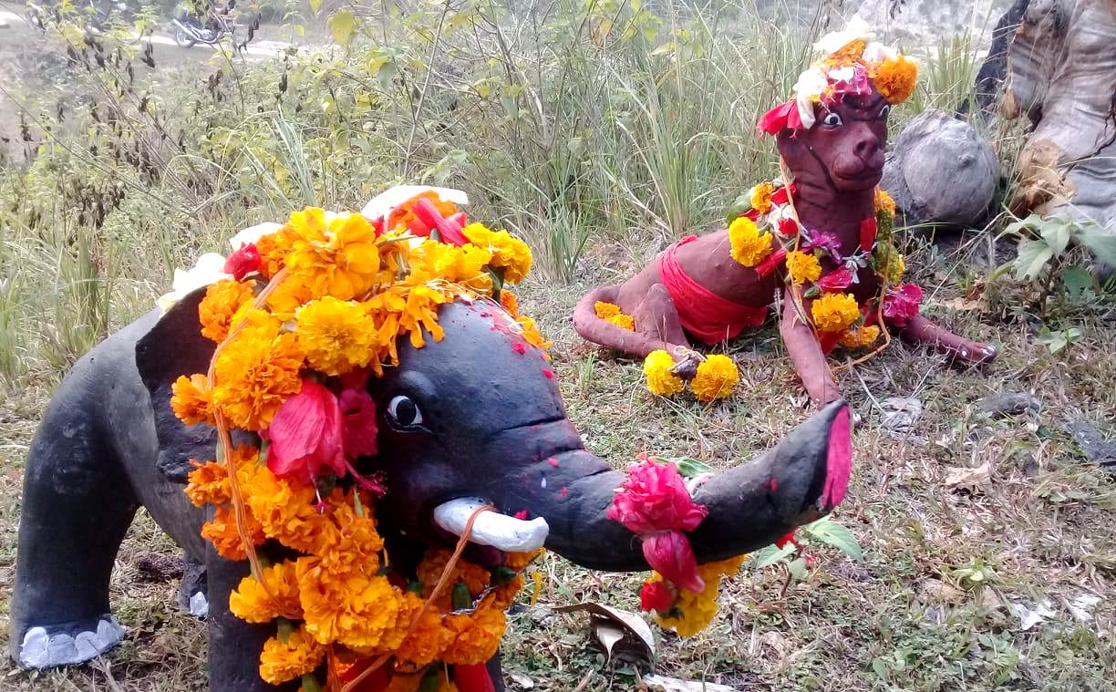 हात्ती आतङ्कबाट जोगिन अग्निसाईर मन्दिरमा हात्ती र बाघको पूजा