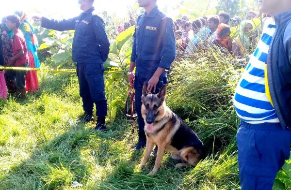 घाँस काट्न गएकी महिला मृत फेला परिन्