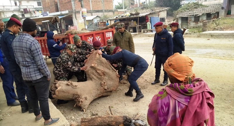 शितलहरबाट जोगिएर बस्न प्रजिअ खनालद्वारा आग्रह