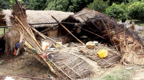 सप्तरीमा हात्ती आंतक रोक्न मौरी पालन