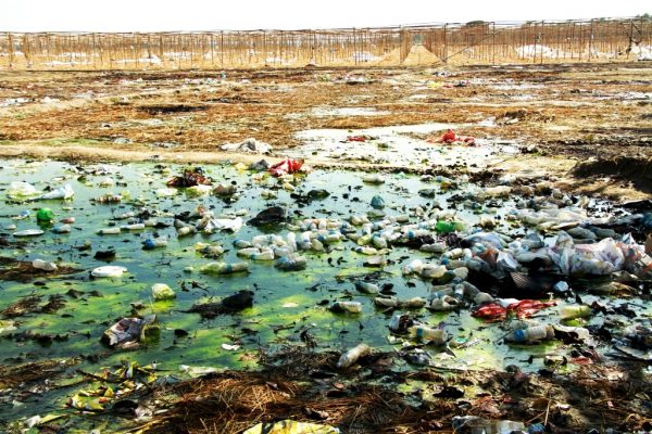 जाँजरस्थित इज्तिमा स्थल अझैं दुर्गन्धित