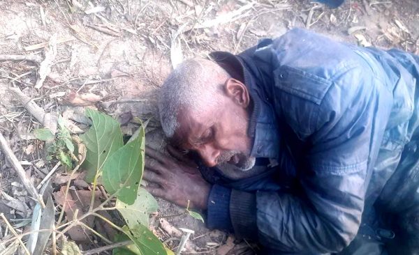 जङ्गली हात्तीको आक्रमणबाट एक वृद्ध सख्त घाइते