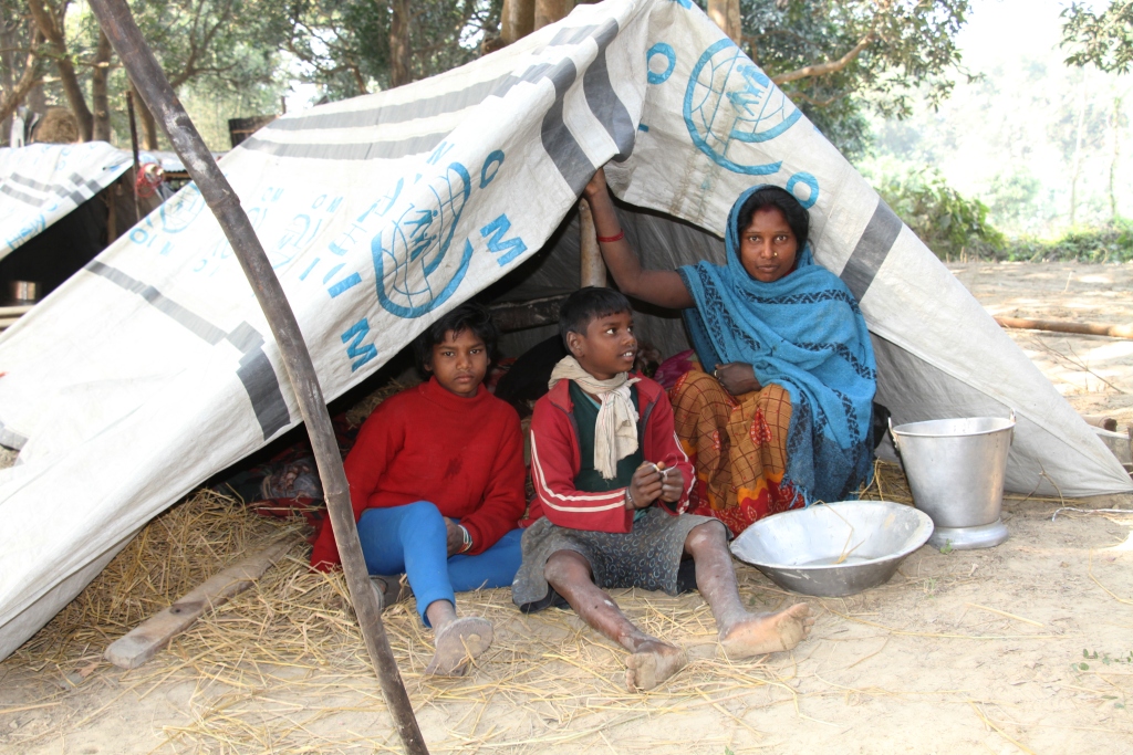 घरबार विहीन १२ मुसहर परिवारको विचल्ली