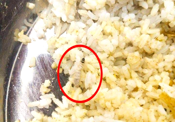 खानामा किरा भेटिएपछि गजेन्द्रनारायण सिंह आईसोलेसनमा तनाव