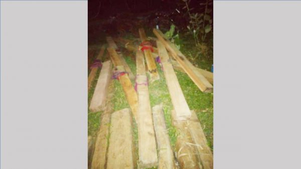 राष्ट्रिय वनवाट तस्करी हुँदै गरेको काठ वन कर्मचारीद्वारा नियन्त्रण