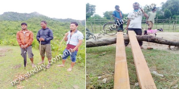 कोरोना संक्रमणको मौका पारेर मौलायो काठ तस्करी