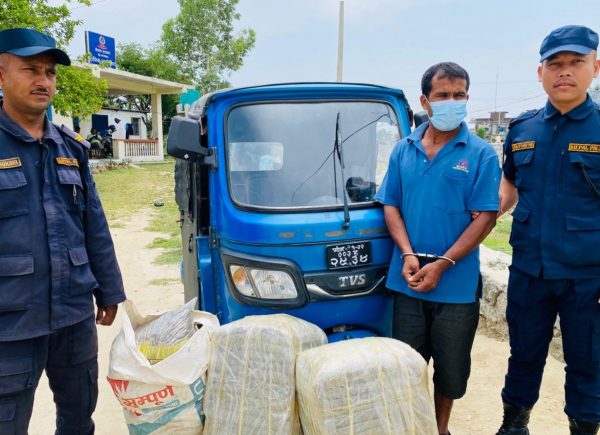 इलाका प्रहरी कार्यालय कंचनपुरद्वारा १ सय ४० किलो गाँजा बरामद 
