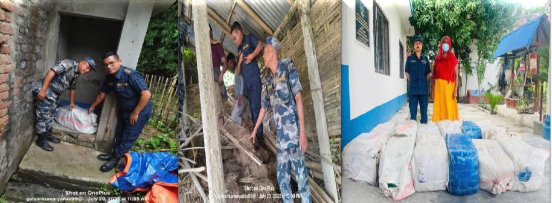 सप्तरीमा ३ सय ८८ किलो गाँजासहित एक महिला प्रहरी नियन्त्रणमा