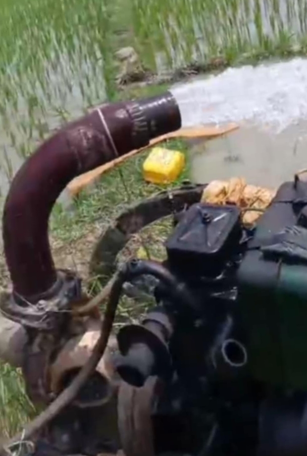 खडेरीको मारमा सप्तरीका किसान, सिंचाइ अभावले धान रोपाइ भएन