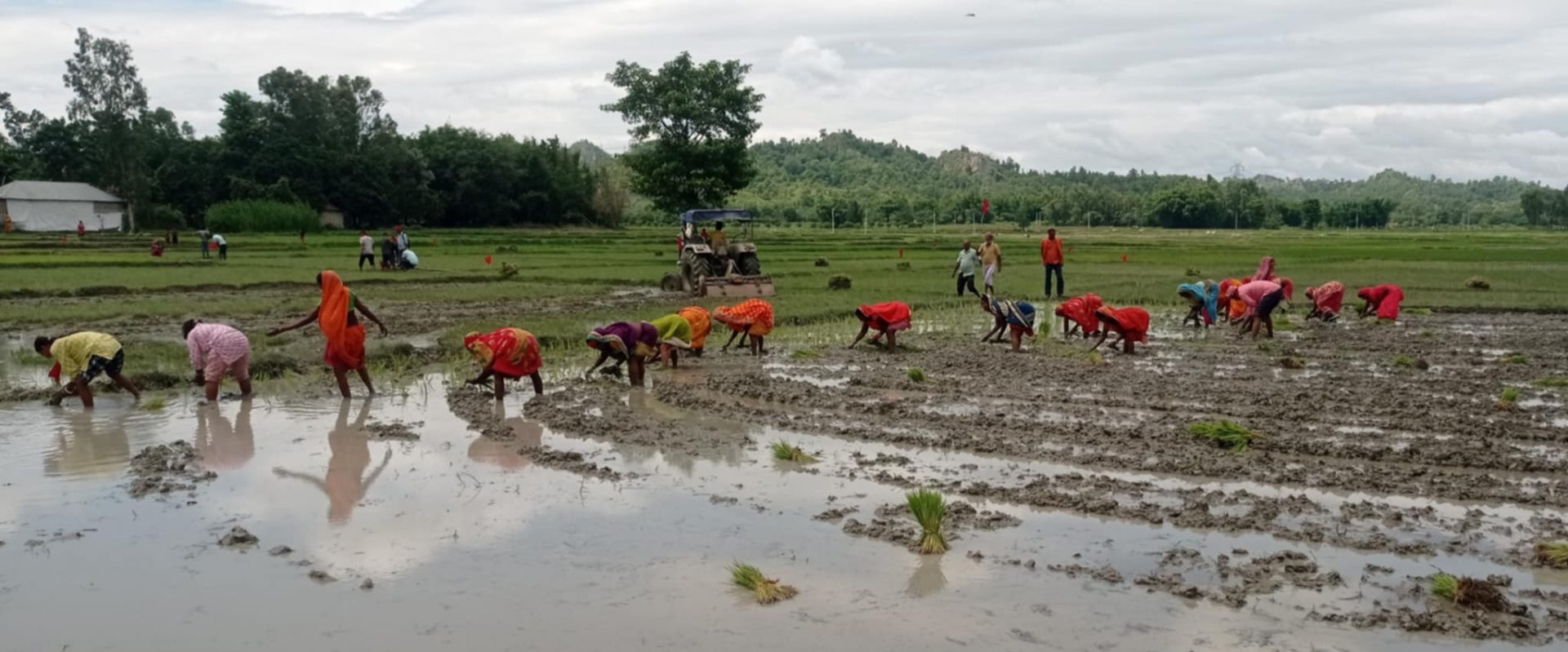 मिटरब्याजी पिडितले  झण्डा गाडेर गरे जग्गा कब्जा 