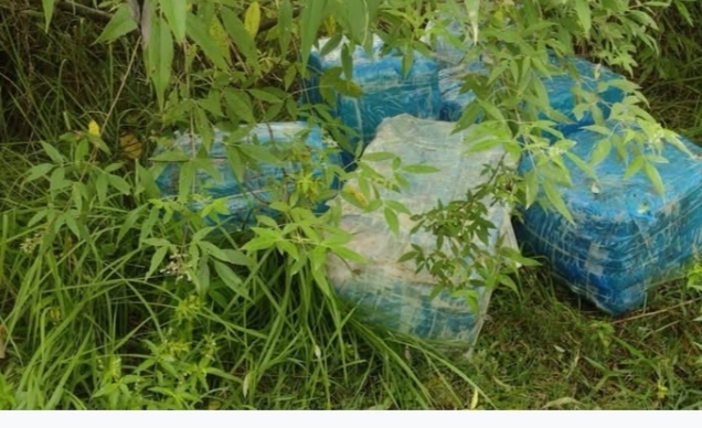 सप्तरीको सुरुङ्गा नगरपालिकाबाट १ सय २५ किलो गाँजा बरामद