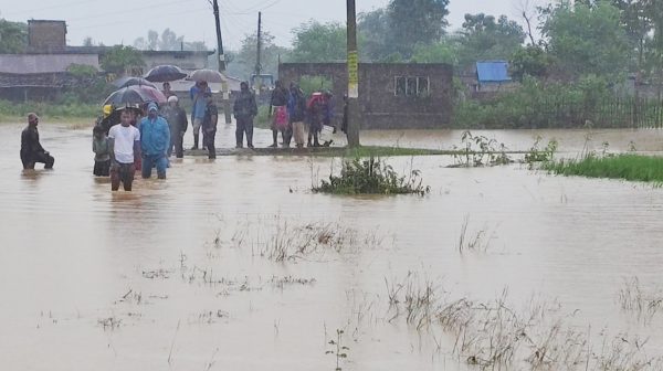 बाढीले सप्तकोशी र तिलाठी कोइलाडीको सयौं घर डुबान, पीडित परिवारलाई विद्यालयमा स्तान्तरण