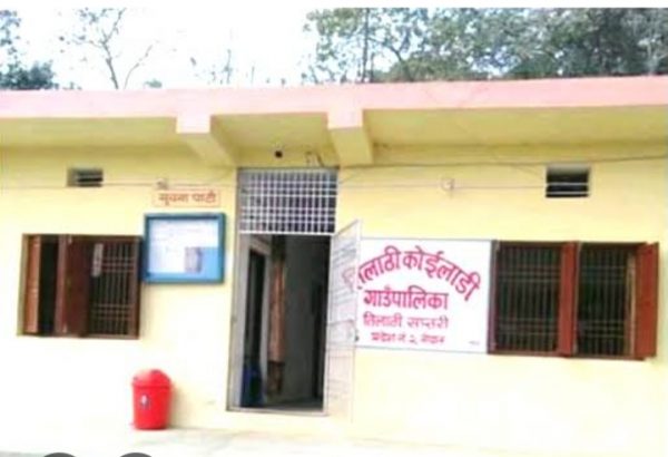 गँहु बीउ उपलब्ध नहुँदा किसान चारैतिर भाैतारिदै  