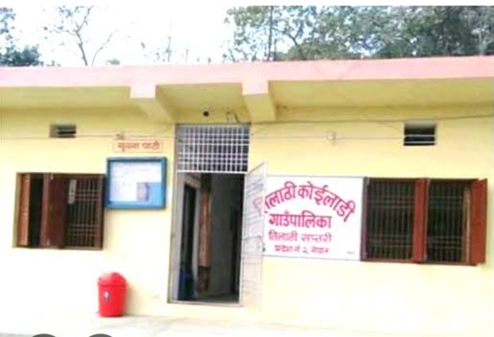 गँहु बीउ उपलब्ध नहुँदा किसान चारैतिर भाैतारिदै  