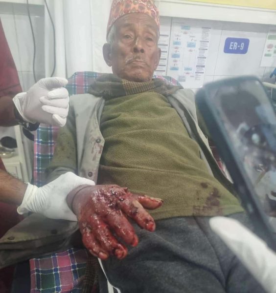 सप्तरीको महुलीमा हात्तीको आक्रमणबाट एक बृद्ध घाइते