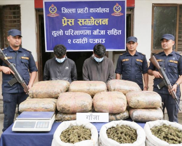 सप्तरीमा १ सय ४१ किलो गाँजासहित २ पक्राउ