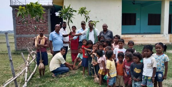 माध्यमिक विद्यालय वभनगामाकट्टीमा वृक्षारोपण 